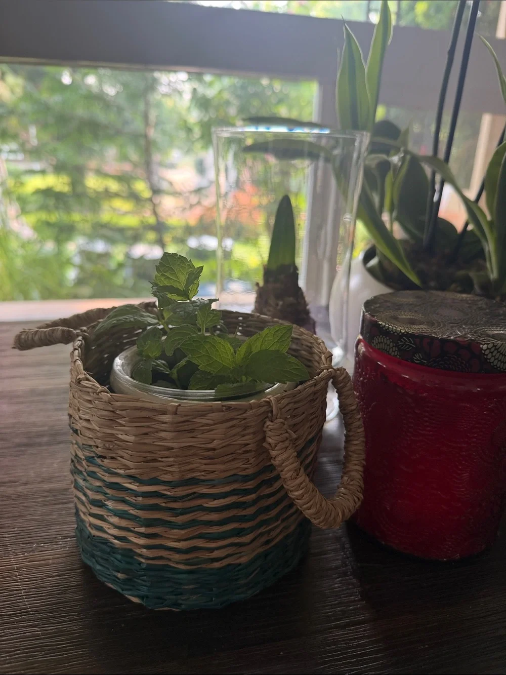 Mini- Handwoven Natural Woven Planter Basket - including pot for table